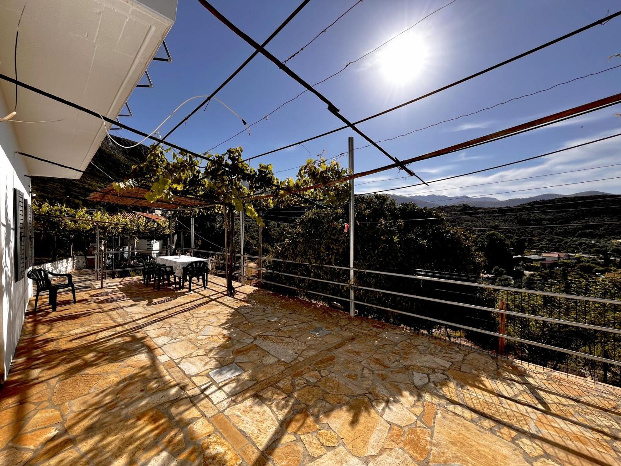 מלון הימארה Sea Horizon House Alexis מראה חיצוני תמונה